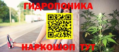 мдпв Партизанск