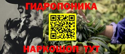 мдпв Партизанск