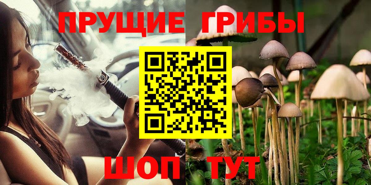 Псилоцибиновые грибы Psilocybine cubensis Родники